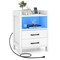 White LED Nightstand Bedside Table with USB Type-C Outlets 2 Drawers & Shelf